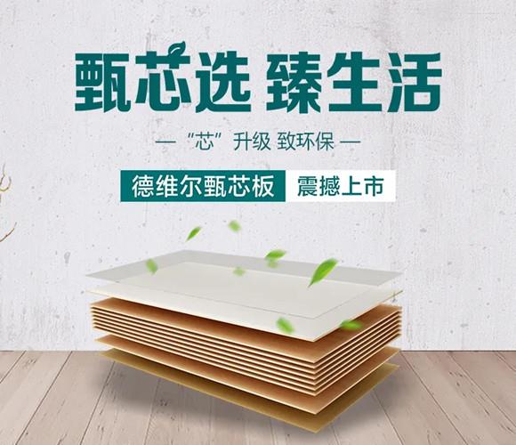 甄芯选,臻生活 | 德维尔甄芯板上市啦